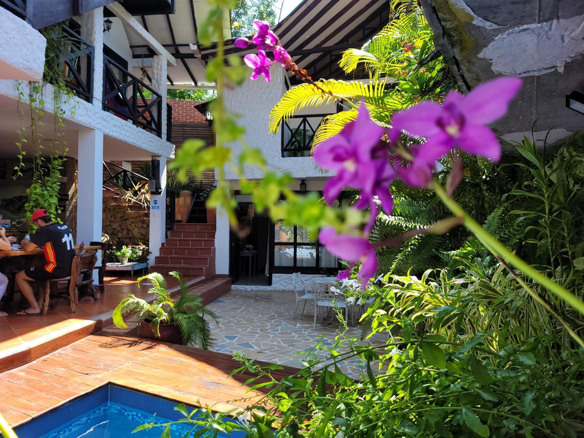 Hostal Antawara Tayrona El Zaino Bagian luar foto